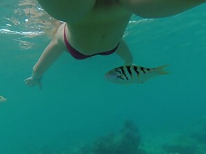 Snorkeling in reef